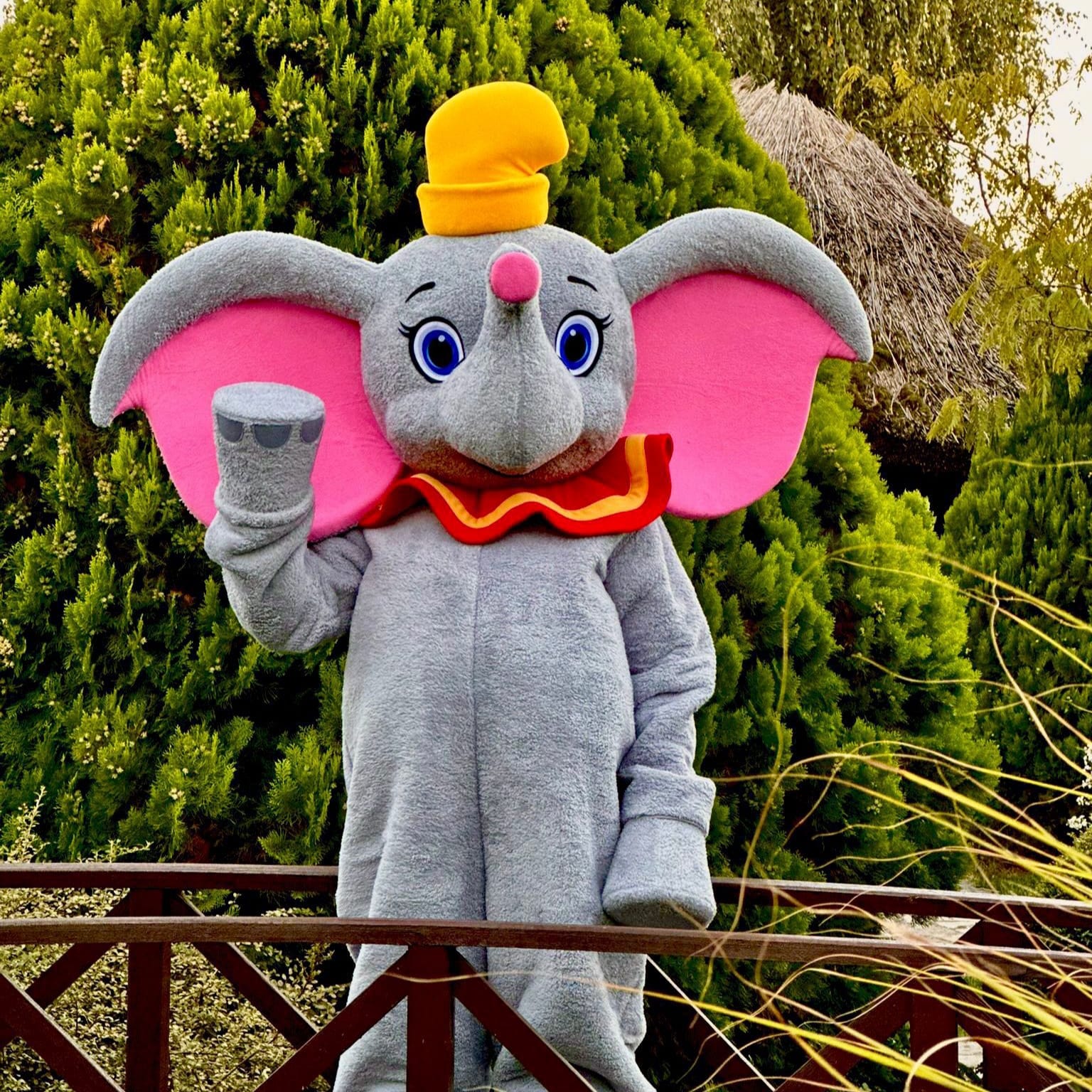 Dambo slon maskote za rođendan 1 Dambo slon maskote za rođendan Dambo slon maskote za rođendan